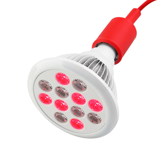 Portable Infrared Red Led Therapy Light