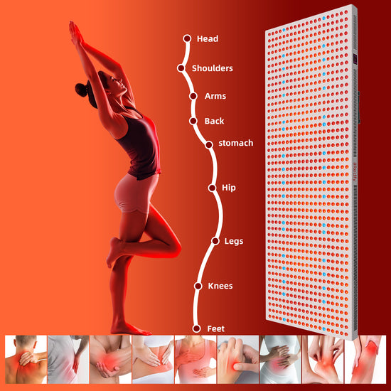 Redfy Touch Screen Pdt Machine